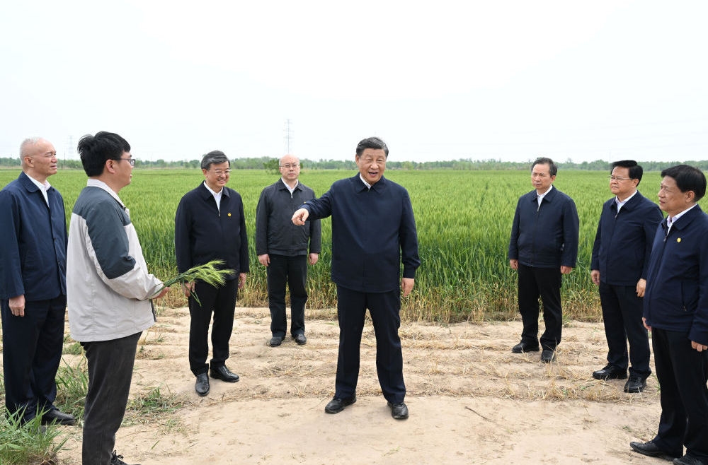 镜观·领航｜在田间地头，总书记关心农业科技创新