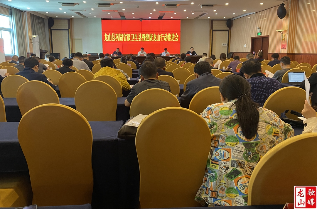 龙山县巩固省级卫生县暨健康龙山行动推进会召开