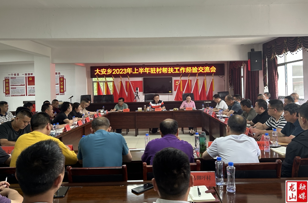 大安乡召开2023年上半年驻村帮扶工作经验交流会