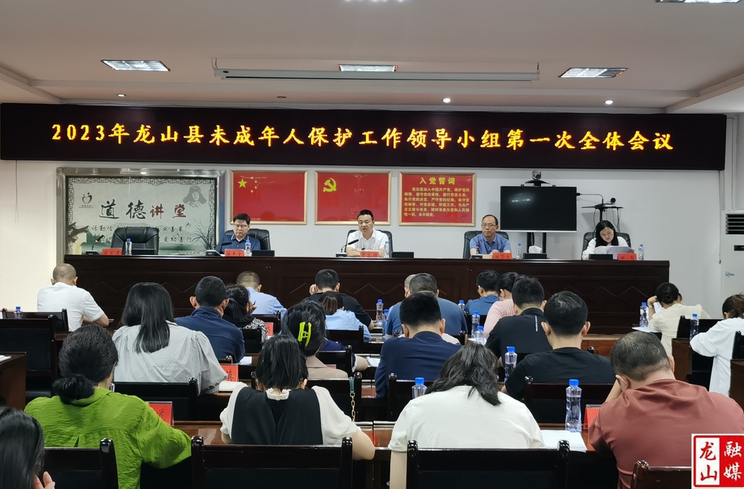 龙山县召开2023年未成年人保护工作领导小组第一次全体会议