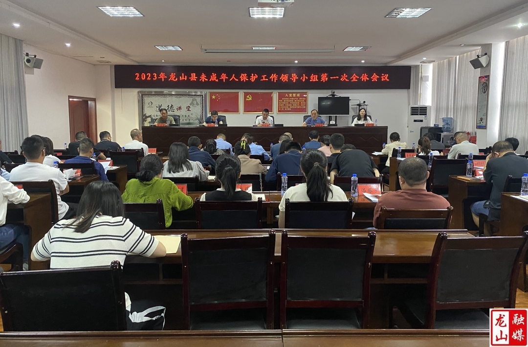 龙山县2023年未成年人保护工作领导小组第一次全体会议召开