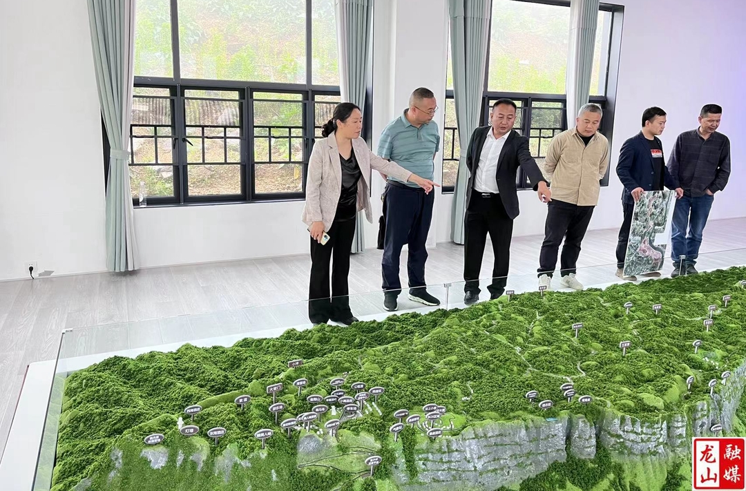 唐晓萍到里耶调研国土空间规划工作