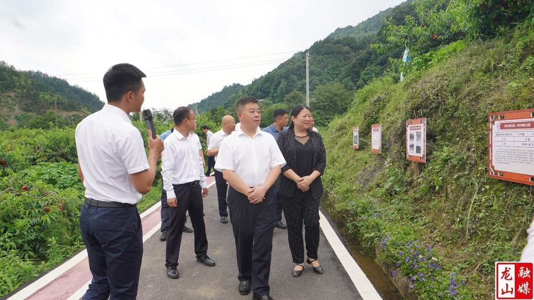 望城区委书记秦国良率队来龙山县调研对口帮扶工作