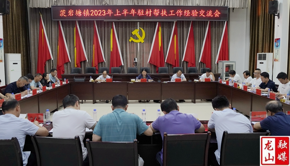 时荣芬出席茨岩塘镇2023年上半年驻村帮扶工作经验交流会