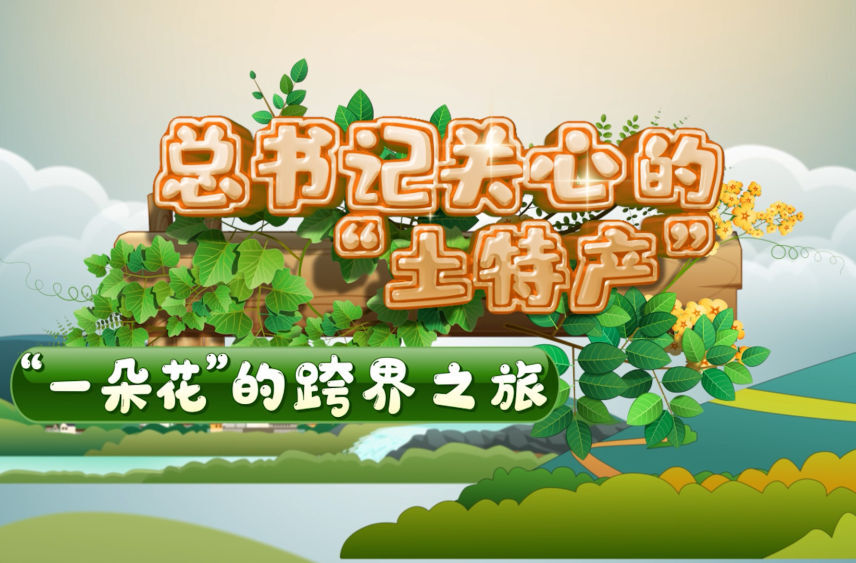 总书记关心的“土特产”|“一朵花”的跨界之旅