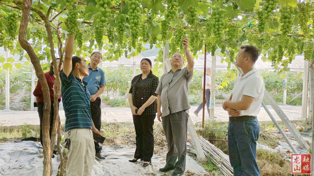 李平来县开展“壮大集体经济”专题调研