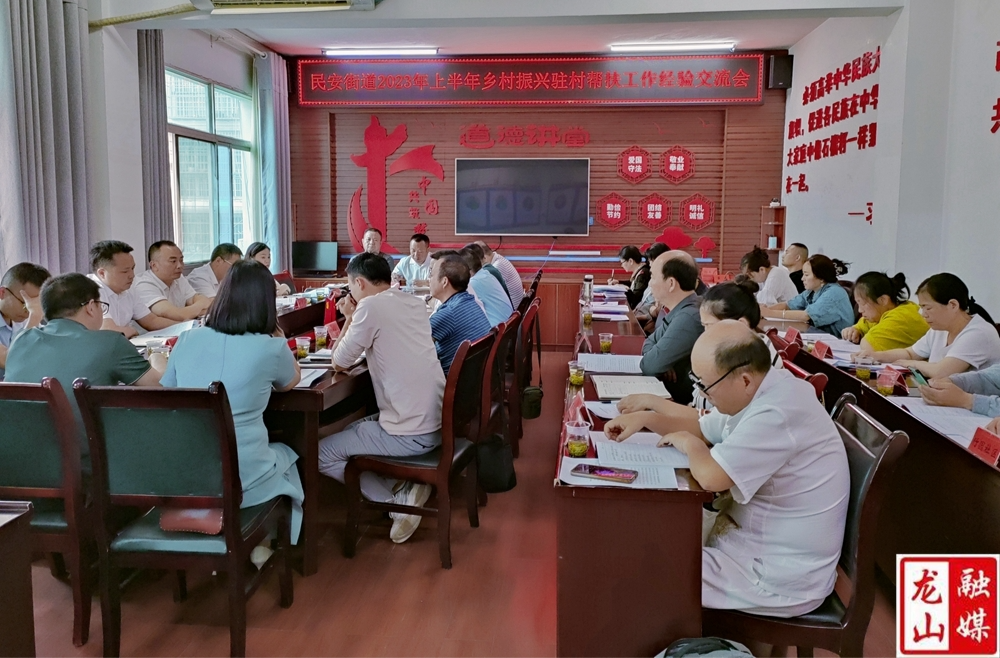 民安街道召开2023年上半年乡村振兴驻村帮扶工作经验交流会