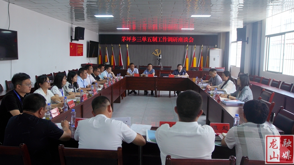 时荣芬调研茅坪乡“三单五制”工作