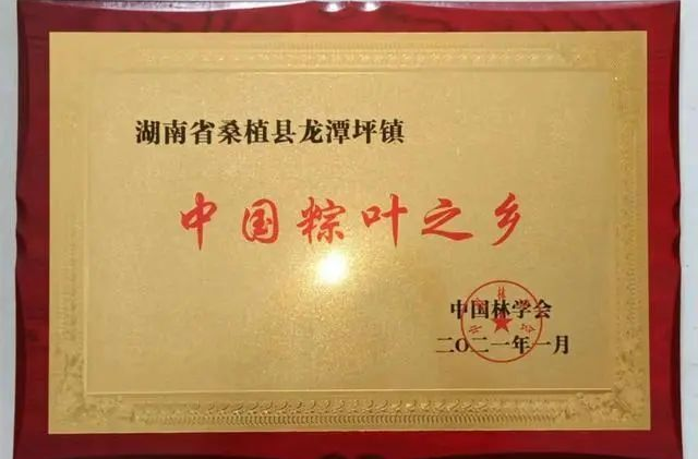 端午节到了，你知道“中国粽叶之乡”在哪里吗？