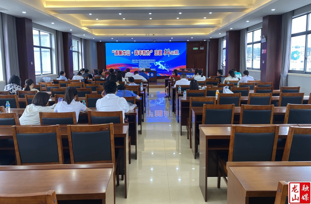 龙山县举办“清廉龙山·青年有为”主题辩论赛