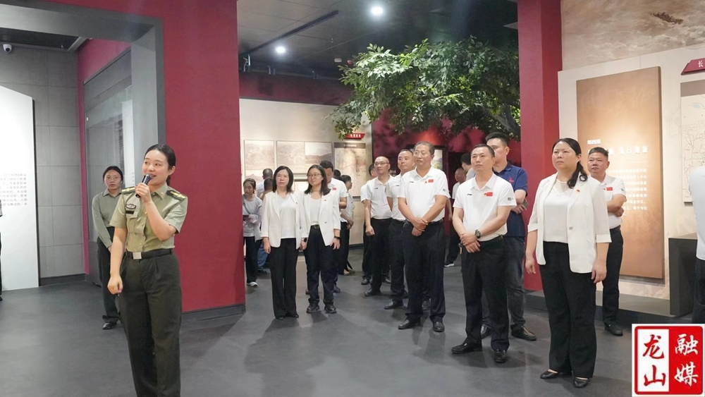 县委常委会开展“重温入党誓词 践行初心使命”主题党日