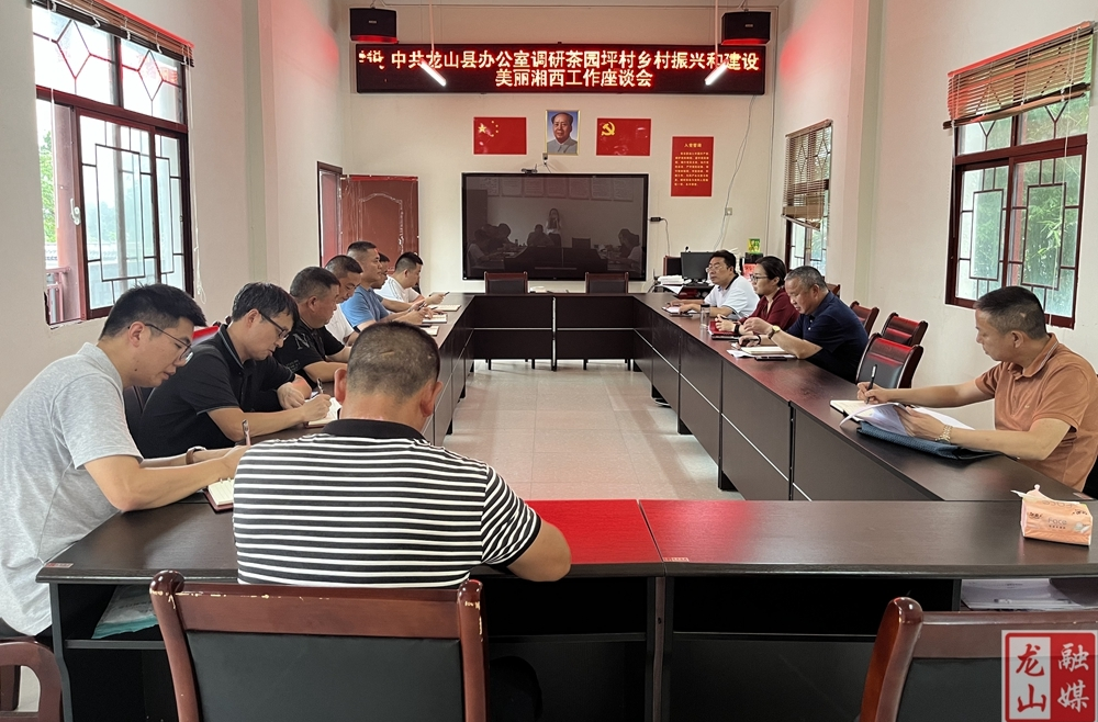 杨甜到茅坪乡调研乡村振兴、建设美丽湘西工作