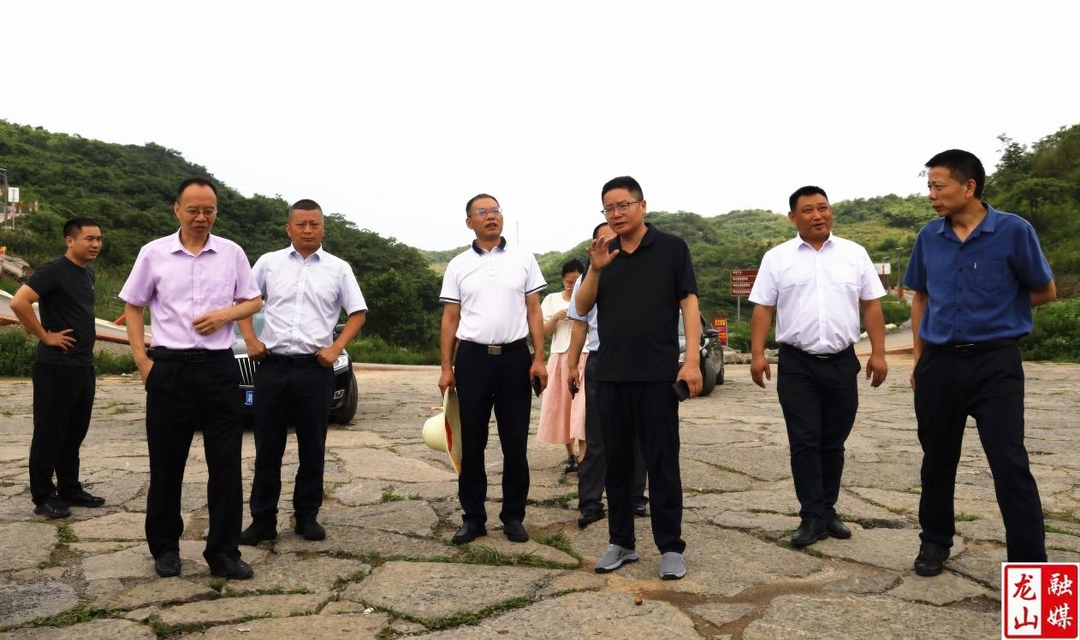 省人大常委会研究室来县调研代表工作