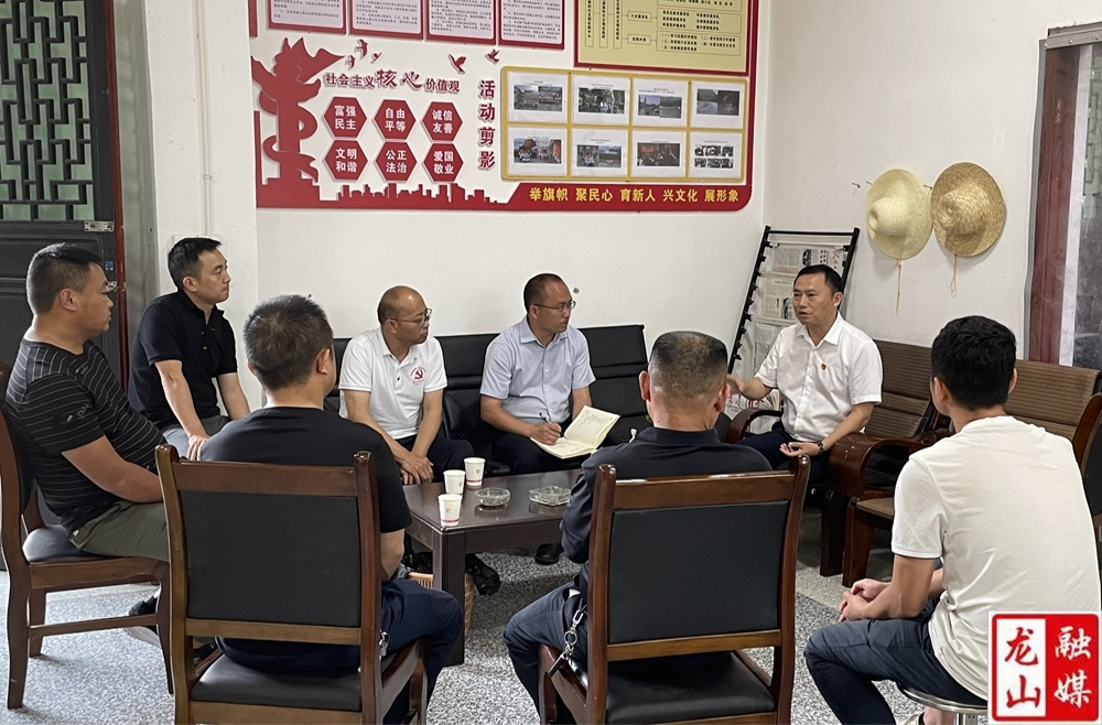 周胜益到苗儿滩镇调研乡村振兴、安全生产等工作