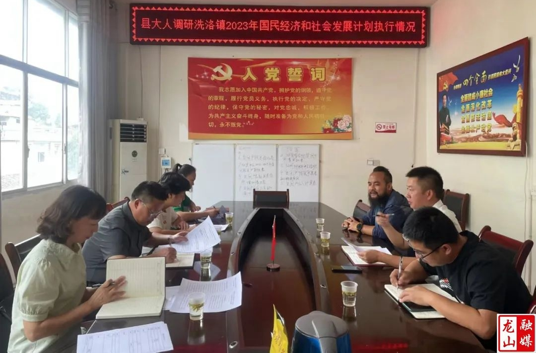 田世忠到洗洛镇调研国民经济和社会发展计划执行情况