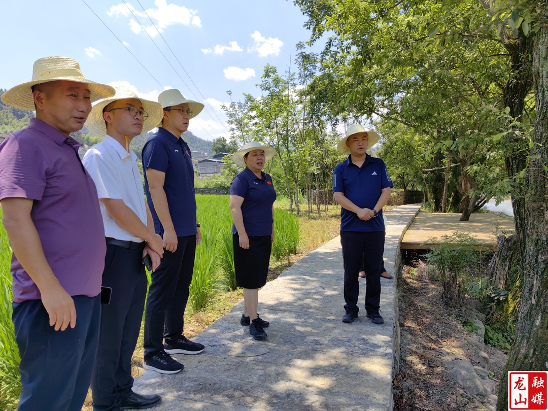 吴凌频来县调研基层统战、安全生产及乡村振兴等工作