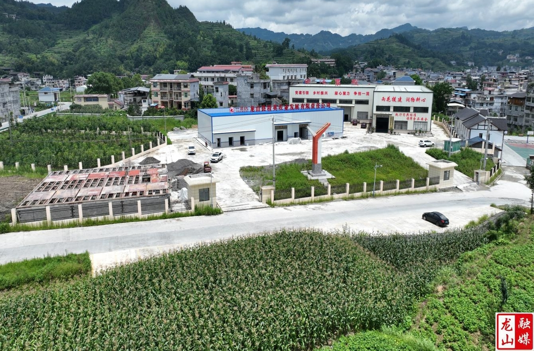 龙山县发展壮大村级集体经济工作综述