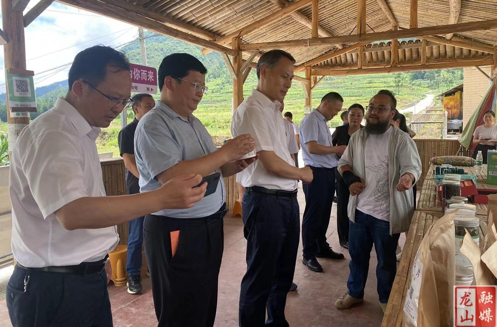 尹华凯一行来龙山县调研残疾人工作