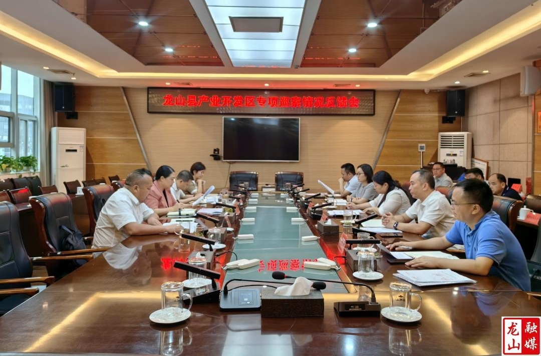 吴凌频到龙山开展园区专项巡察情况反馈工作并调度校园安全等工作