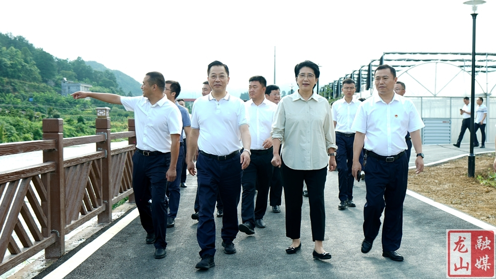 夏智伦到龙山调研乡村振兴和教育发展工作