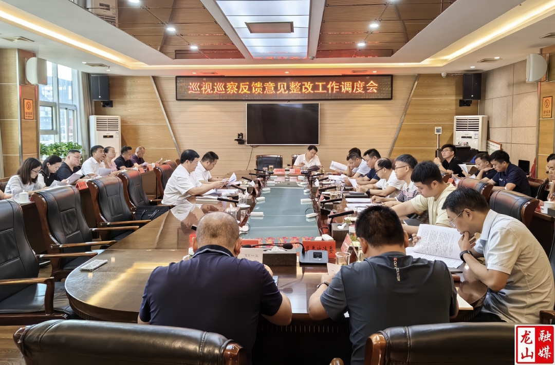 龙山县巡视巡察反馈意见整改工作调度会召开