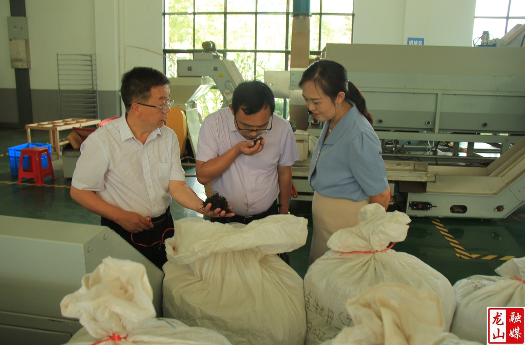 法检两院：走企业、问需求、解问题、促发展