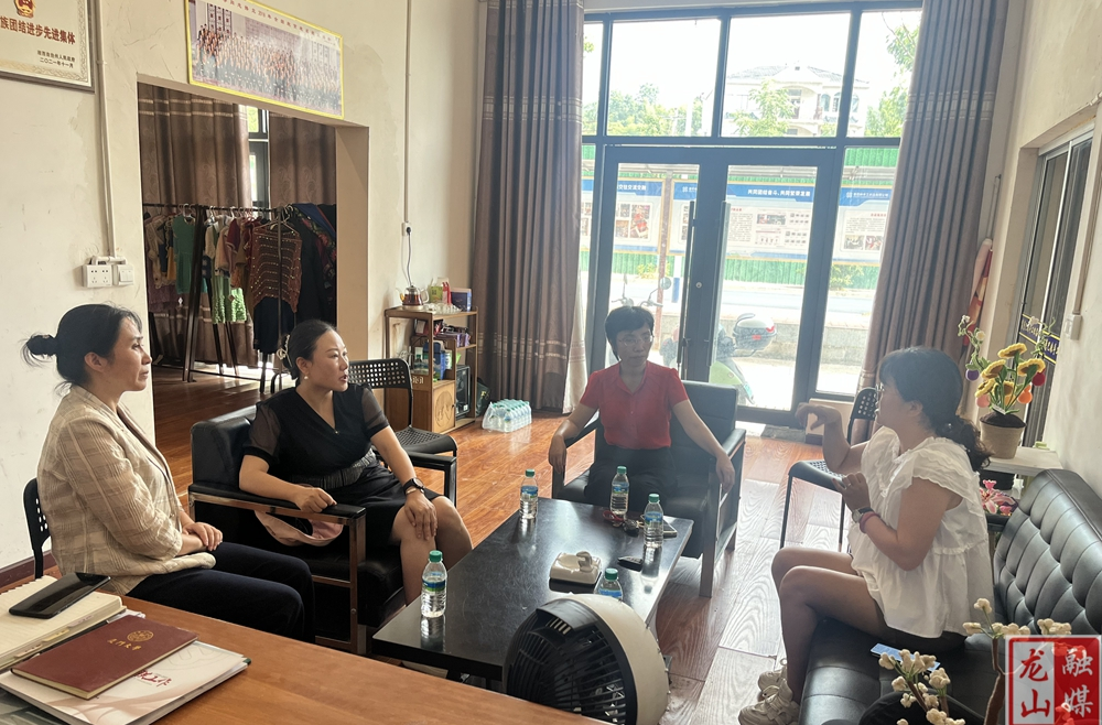 州妇联主席一行到龙山调研