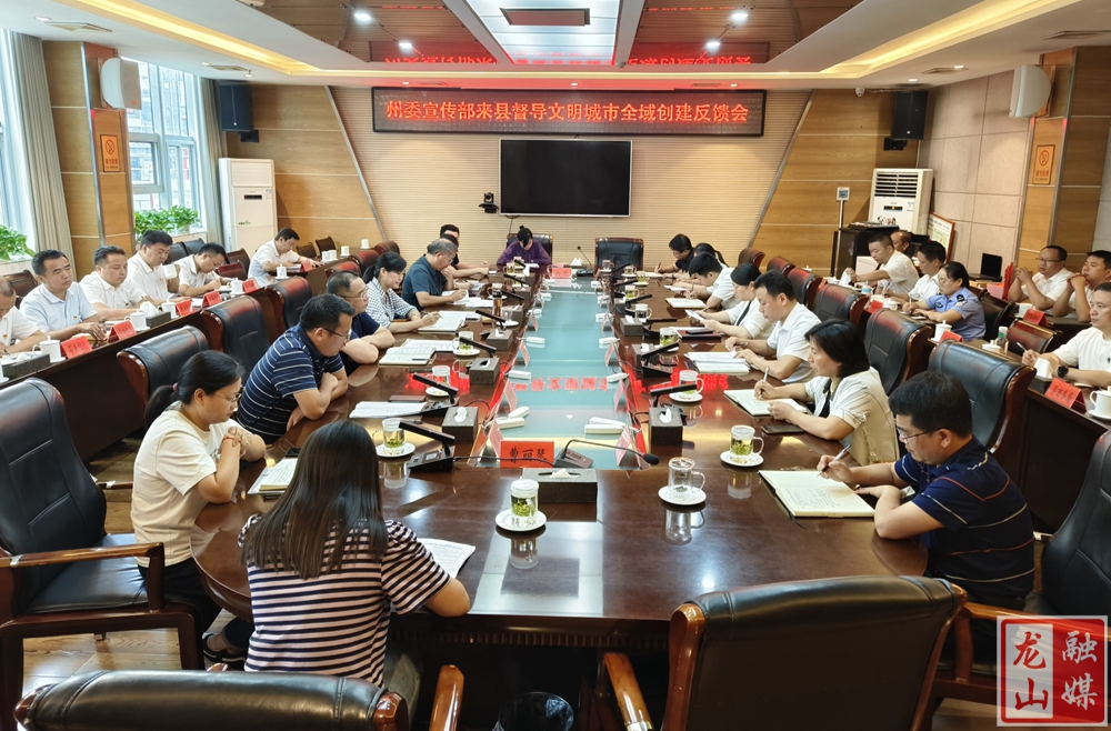 杨彦芳来县督导全域文明创建工作