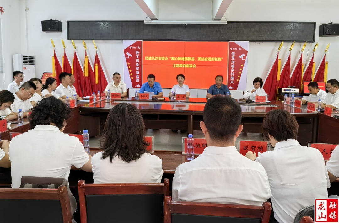 中国民主建国会长沙市委员会一行来龙山开展主题教育