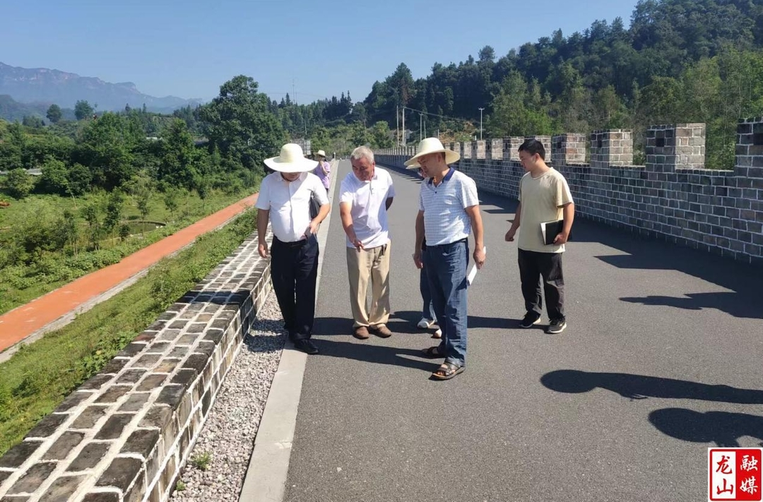 龙山县开展酉水河里耶防洪工程修复加固及提标二期工程完工验收