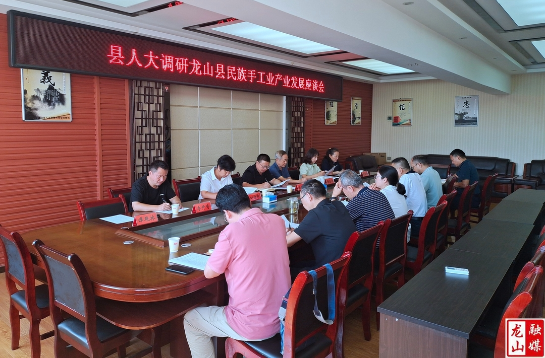 田世忠调研龙山县民族手工业产业发展情况