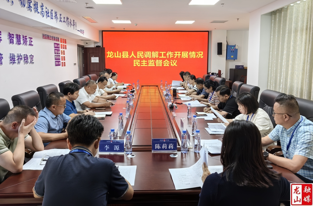龙山县政协委员调研人民调解工作