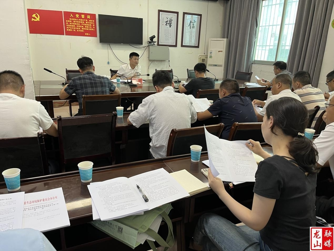 向大龙专题调研水环境、空气质量污染防治工作