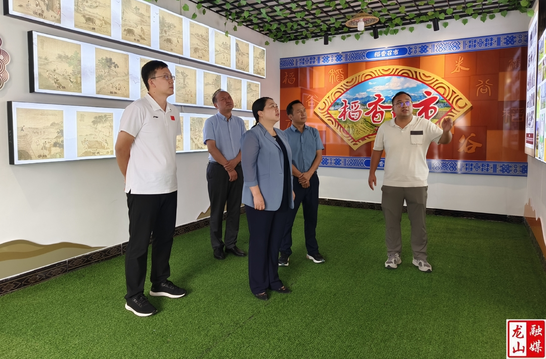吴凌频来县调研乡村振兴、校园食品安全相关工作