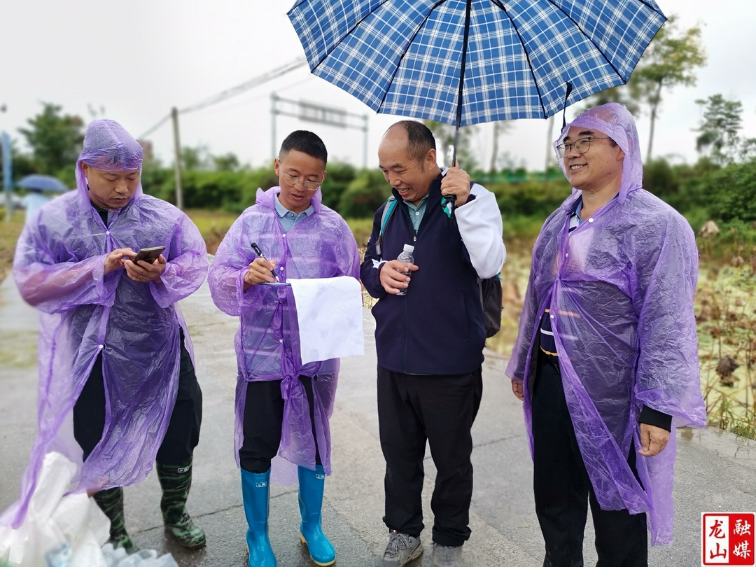 龙山县粮食高产绿色优质科技创新工程中稻测产验收 亩产达853.3公斤
