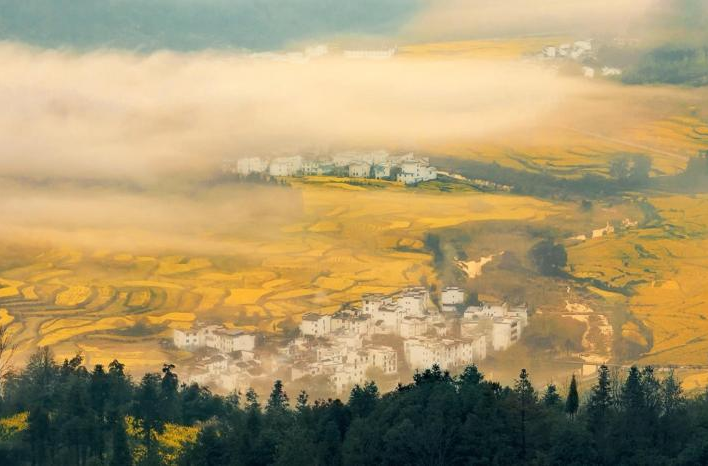 跟着总书记的考察足迹丨走进“中国最美乡村”——婺源