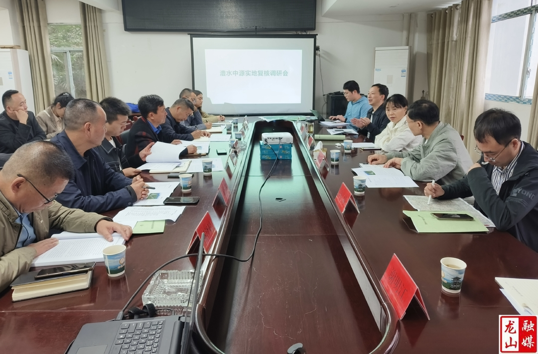 湖南、湖北水利厅一行到大安乡开展澧水中源现场复核调研