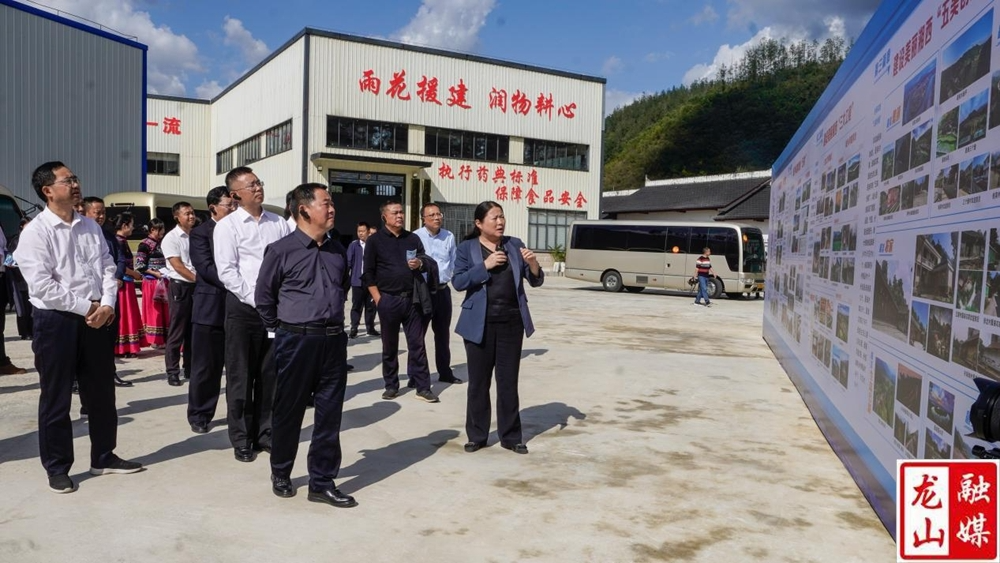 湘西州建设美丽湘西推进乡村振兴工作现场会走进龙山