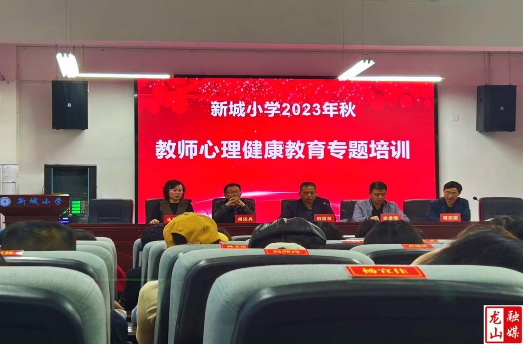 新城小学开展心理健康教师专题培训