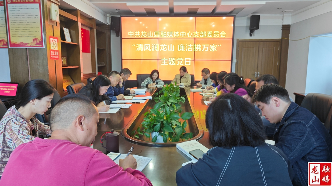 县融媒体中心开展“清风润龙山 廉洁拂万家”主题党日