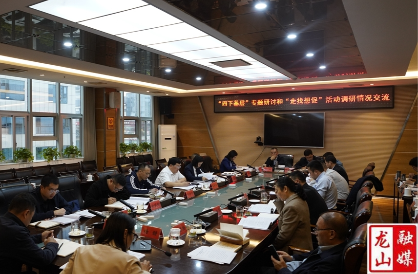 龙山县召开“四下基层”专题研讨暨“走找想促”活动调研情况交流会