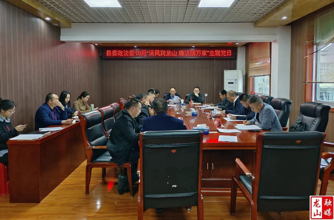 县委政法委开展“清风润龙山 廉洁拂万家”主题党日