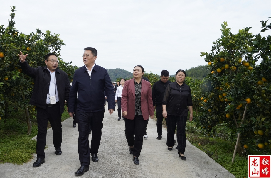 朱东铁率队到龙山县调研对口帮扶工作