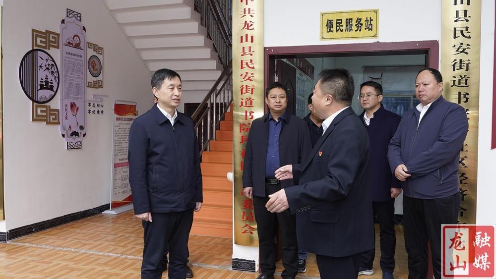 袁新天到龙山调研政法综治、信访维稳工作