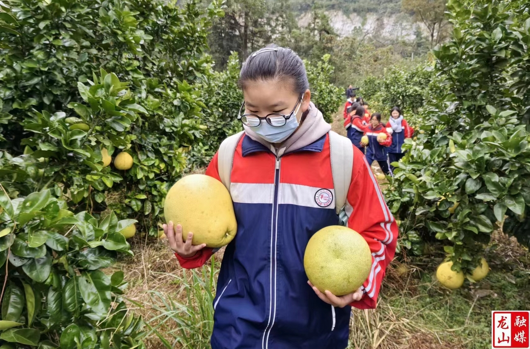 龙山职中：田间沉浸式实训 奏响乡村振兴曲