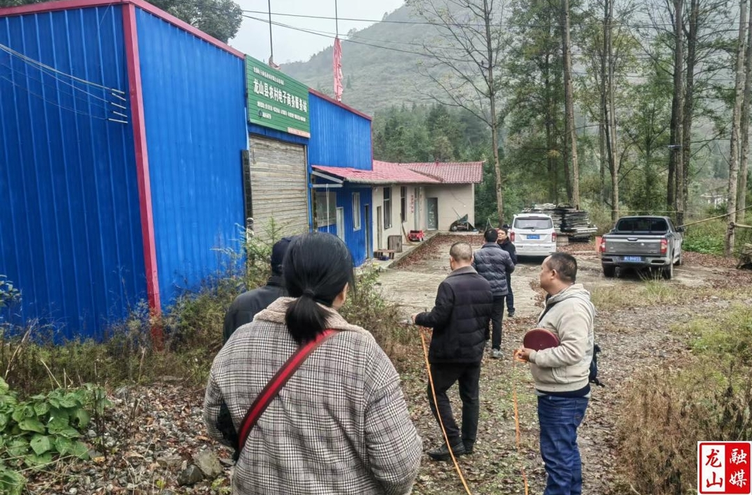 利剑行动：县林业局开展保护区生态环保问题现场调查