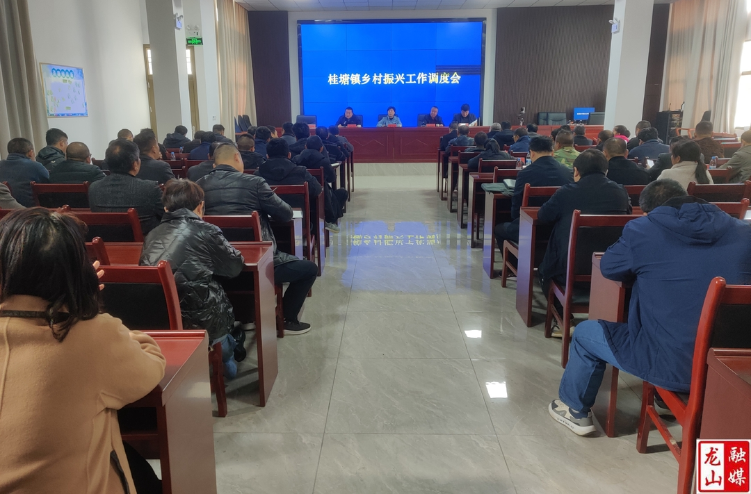 桂塘镇召开乡村振兴工作调度会