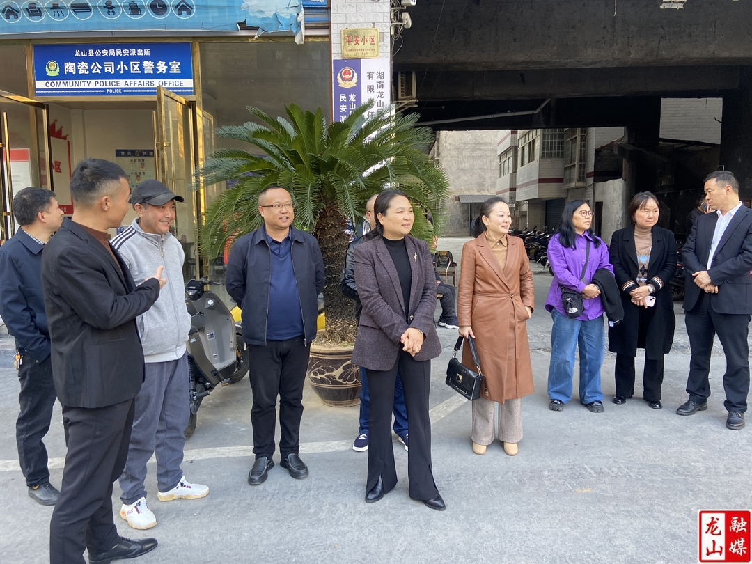 向大龙、李冬梅督办政协重点提案