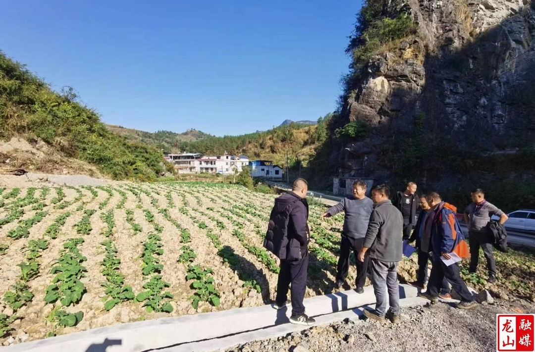 利剑行动：省州两级专家组来县开展生态修复验收工作