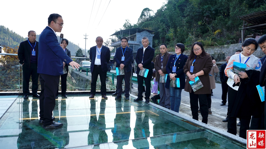 全州人大创新工作现场交流会走进龙山县